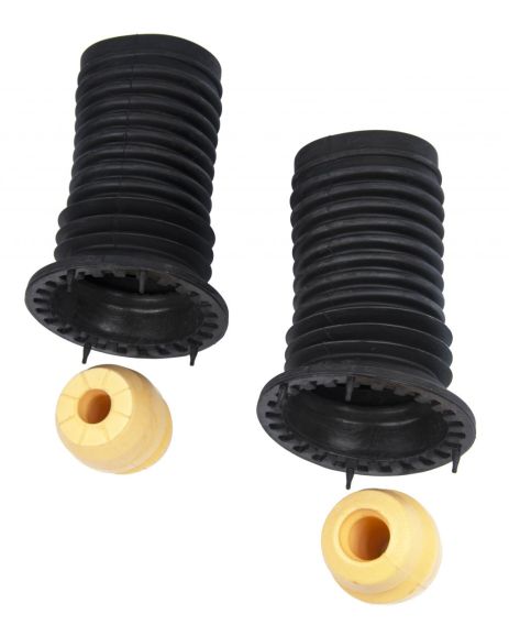 Комплект переднего амортизатора для Chevrolet Aveo 05-/Daewoo Kalos 02-, RAISO (RK00182) Комплект переднего амортизатора для Chevrolet Aveo 05-/Daewoo Kalos 02-, RAISO (RK00182)