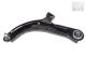 Лівий важіль передньої підвіски (нижній передній) Renault Clio III/Modus 04-, Raiso (Rl820491R)