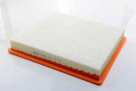 Фильтр воздушный Buick Regal, Cadillac XTS, Chevrolet Malibu, Impala, XTC, 14-, SHAFER (SX10039) Фильтр воздушный Buick Regal, Cadillac XTS, Chevrolet Malibu, Impala, XTC, 14-, SHAFER (SX10039)