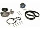 Water Pump + Timing Belt Kit Ford C-Max, INA (530084130) Water Pump + Timing Belt Kit Ford C-Max, INA (530084130)