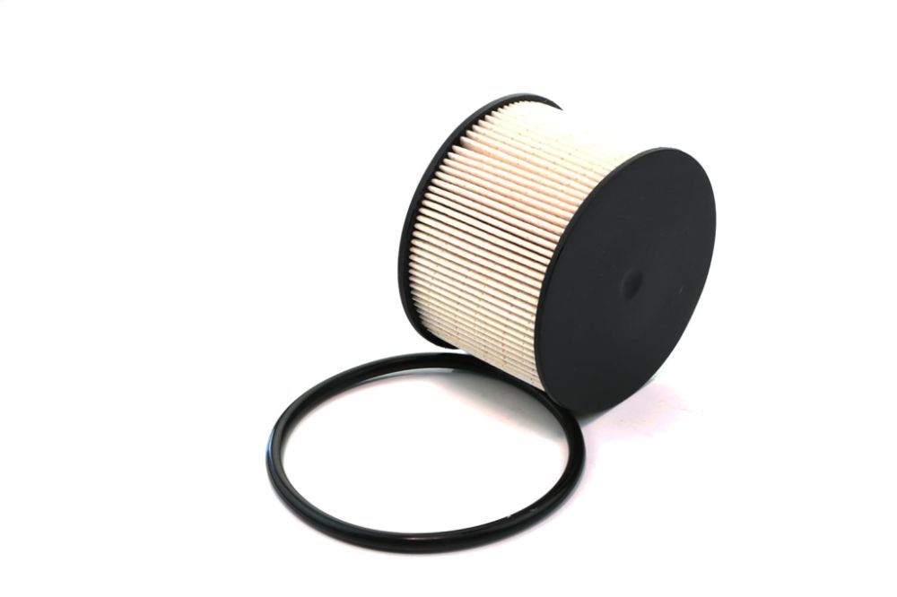 Паливний фільтр "прямий" для Fiat Scudo 2.0 D Multijet 07-, SHAFER (FE201DH) Паливний фільтр "прямий" для Fiat Scudo 2.0 D Multijet 07-, SHAFER (FE201DH)