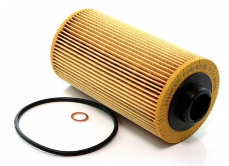 Масляний фільтр BMW 5 (E34, E39), 7 (E32, E38), 8 (E31), X5 (E53), Z8 (E52); LR RR III, SHAFER (FOE1521D)