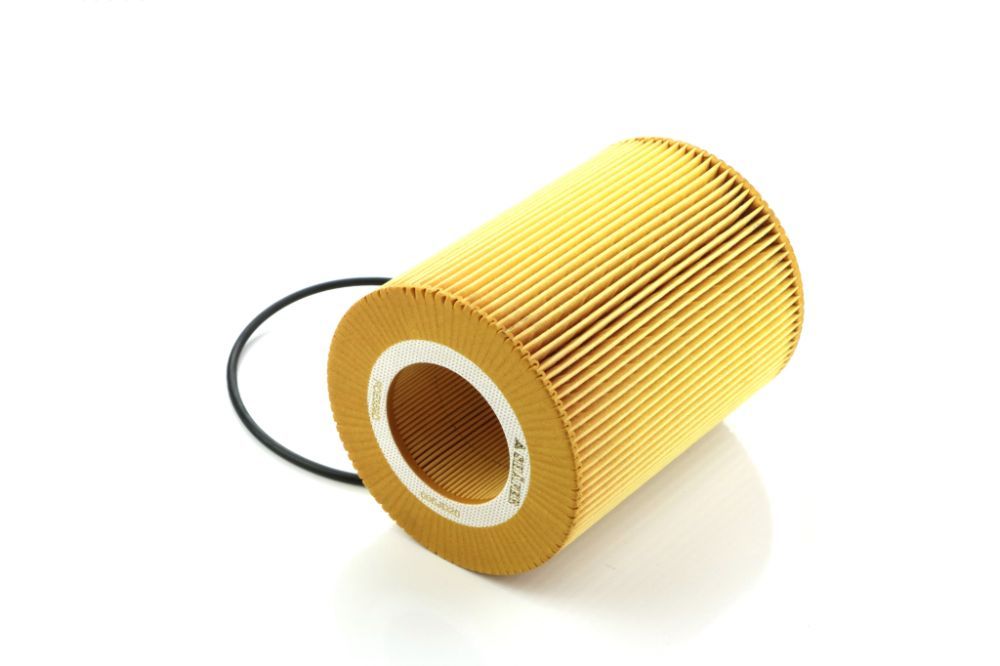 Паливний фільтр DAF CF 75/85, XF 105/106 ISBe4-250B-PR265S (91-), SHAFER (FE262D) Паливний фільтр DAF CF 75/85, XF 105/106 ISBe4-250B-PR265S (91-), SHAFER (FE262D)