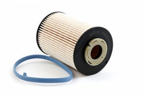 Паливний фільтр для Ford Mondeo IV, Volvo C30, C70 II, S40 II, SHAFER (FE393D) Паливний фільтр для Ford Mondeo IV, Volvo C30, C70 II, S40 II, SHAFER (FE393D)