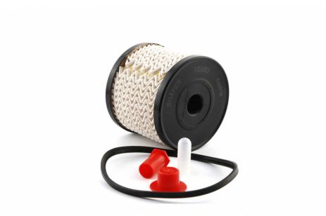 Паливний фільтр Fiat Scudo/Expert 99- 2.0HDI (с-ма Siemens), "Ялинка", SHAFER (FE85D) Паливний фільтр Fiat Scudo/Expert 99- 2.0HDI (с-ма Siemens), "Ялинка", SHAFER (FE85D)