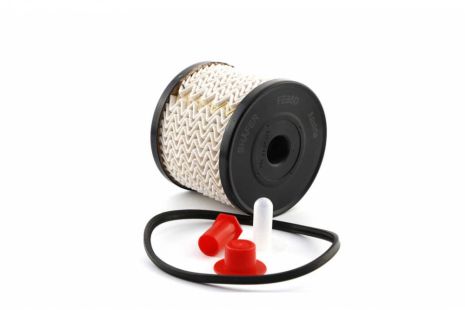 Фільтр паливний Fiat Scudo/Expert 99- 2.0HDI (с-ма Siemens) "Ялинкою", SHAFER (FE85D) Фільтр паливний Fiat Scudo/Expert 99- 2.0HDI (с-ма Siemens) "Ялинкою", SHAFER (FE85D)