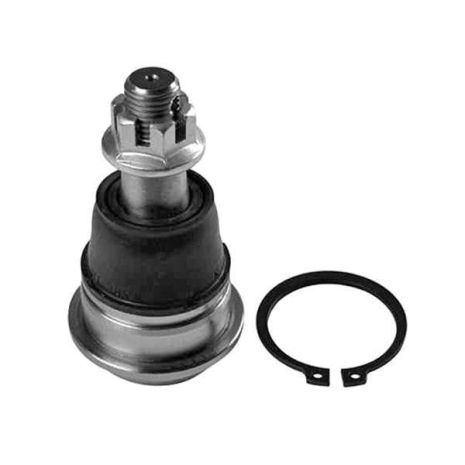 Шарова опора перед. (нижн. передн) Nissan Almera II/Maxima/Primera 00-, RAISO (RL401602N)