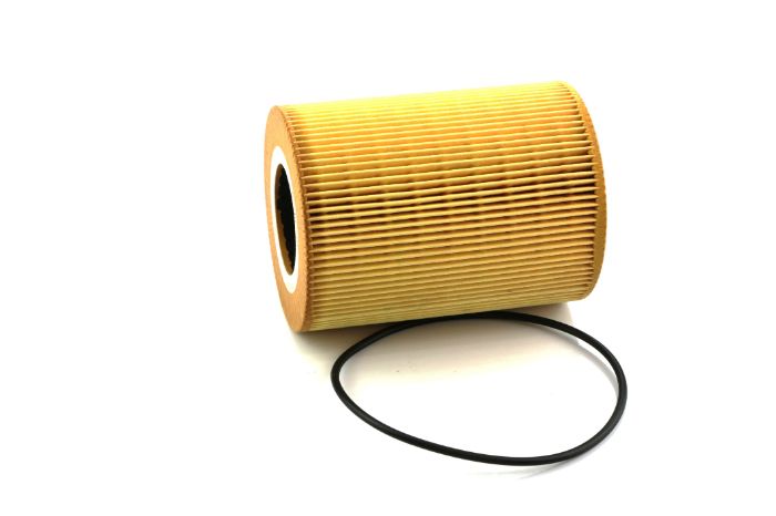 Фильтр масляный Man серии F/E2000, NG, NL, TGA, TGS I, TGX I D2066LF03-E2876LUH02 (90-), SHAFER (FOE146D) Фильтр масляный Man серии F/E2000, NG, NL, TGA, TGS I, TGX I D2066LF03-E2876LUH02 (90-), SHAFER (FOE146D)