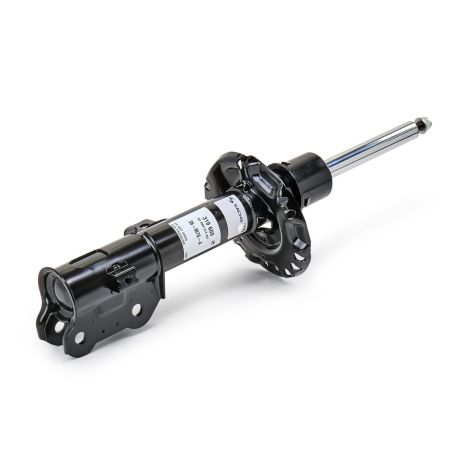 Амортизатор передний правый (газ), HYUNDAI Tucson, KIA Sportage 15-, RAISO (RS319600)