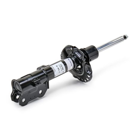 Амортизатор передний правый (газ), HYUNDAI Tucson, KIA Sportage 15-, RAISO (RS319600)