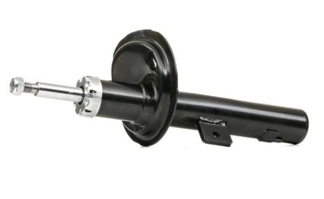 Передній амортизатор пр., Citroen Berlingo/Peugeot Partner 02- (газ.), RAISO (RS333729)