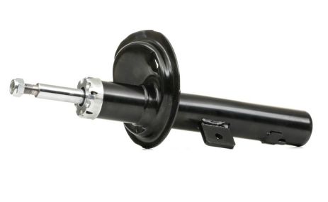 Передній амортизатор пр., Citroen Berlingo/Peugeot Partner 02- (газ.), RAISO (RS333729)