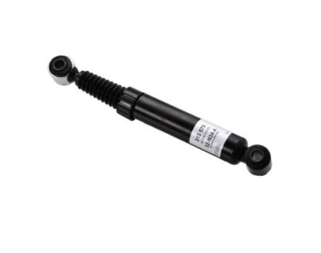 Задній амортизатор Citroen Xsara Picasso/Peugeot 405 I/II 87-12 (газ.), RAISO (RS312575)