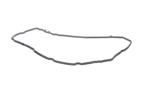Прокладка клапанної кришки RAM PROMASTER, LANCIA VOYAGER, ELRING (527800) Прокладка клапанної кришки RAM PROMASTER, LANCIA VOYAGER, ELRING (527800)