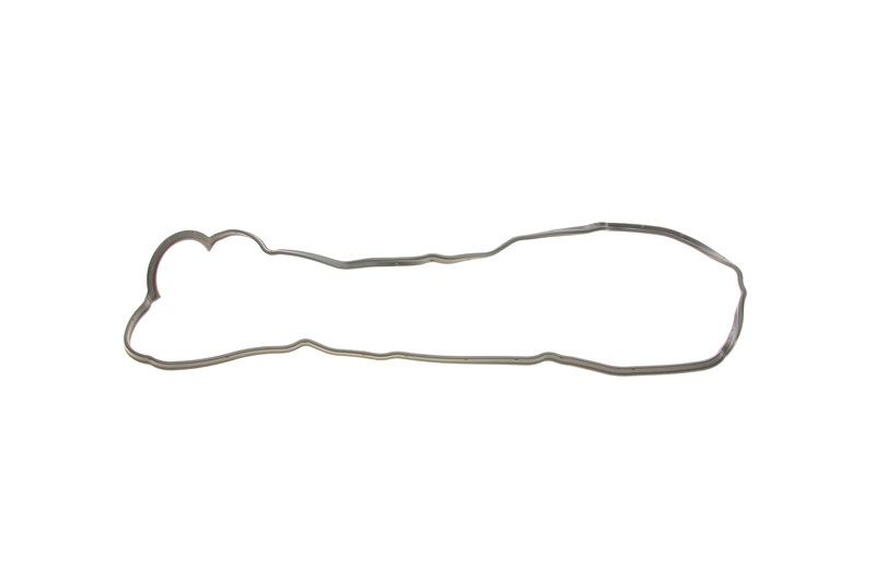 ΠΡΠΎΠΊΠ»Π°Π΄ΠΊΠ° ΠΊΠ»Π°ΠΏΠ°Π½Π½ΠΎΡ ΠΊΡΠΈΡΠΊΠΈ LEXUS RX, MITSUOKA OROCHI, ELRING (440050) ΠΡΠΎΠΊΠ»Π°Π΄ΠΊΠ° ΠΊΠ»Π°ΠΏΠ°Π½Π½ΠΎΡ ΠΊΡΠΈΡΠΊΠΈ LEXUS RX, MITSUOKA OROCHI, ELRING (440050)