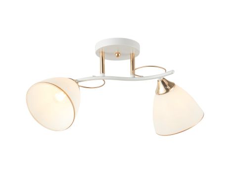 Декоративная люстра INTEREES IS 6396-2 WH+FG