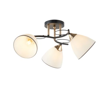 Люстра декоративна INTEREES IS 6395-3 BK+FG