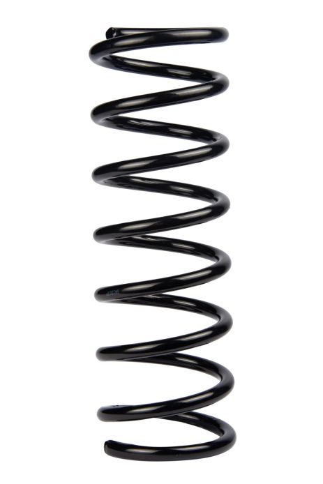 Пружина задня Ford Mondeo III 00-07 (360*12,5*119), RAISO (SR193TP)