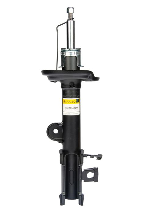 Амортизатор задний пр. Compass 17-(газ.), RAISO (RS290260)