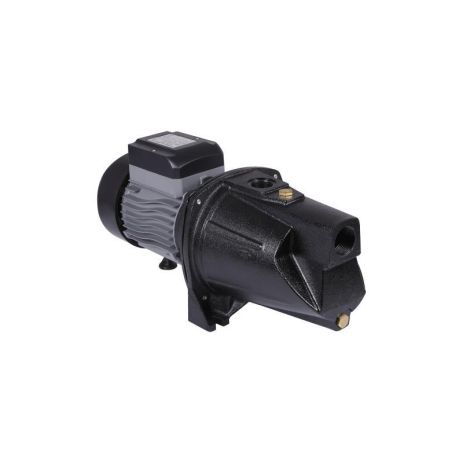 Насос самовсасывающий центробежный Thermo Alliance D-JSWm-20M 1,5 кВт Насос самовсасывающий центробежный Thermo Alliance D-JSWm-20M 1,5 кВт