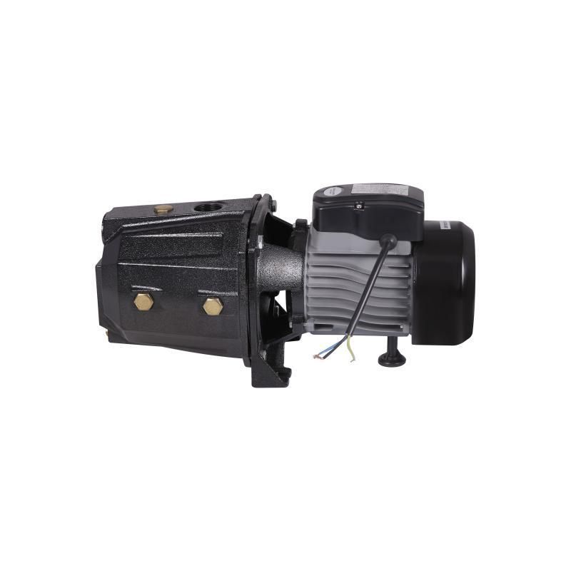 Насос самовсмоктувальний відцентровий Thermo Alliance D-JETm-125M 0,92 кВт Насос самовсмоктувальний відцентровий Thermo Alliance D-JETm-125M 0,92 кВт