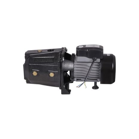 Насос самовсмоктувальний відцентровий Thermo Alliance D-JETm-125M 0,92 кВт Насос самовсмоктувальний відцентровий Thermo Alliance D-JETm-125M 0,92 кВт