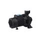 Насос поверхностный поливочный Pumpman TGA1C Нmax 15 м Qmax 30 куб.м 2"х2" 750 Вт