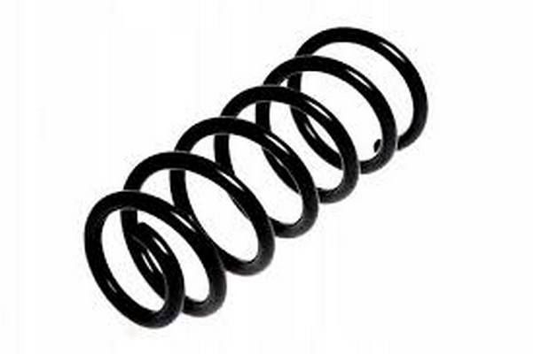 Пружина задня Audi A6 C5 quattro 97-05 (седан) (318*13,25*120), RAISO (SR272TP) Пружина задня Audi A6 C5 quattro 97-05 (седан) (318*13,25*120), RAISO (SR272TP)
