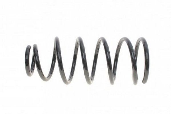 Пружина задня Kia Sorento I (4WD) 02- (367*14*158), RAISO (SR255TP) Пружина задня Kia Sorento I (4WD) 02- (367*14*158), RAISO (SR255TP)