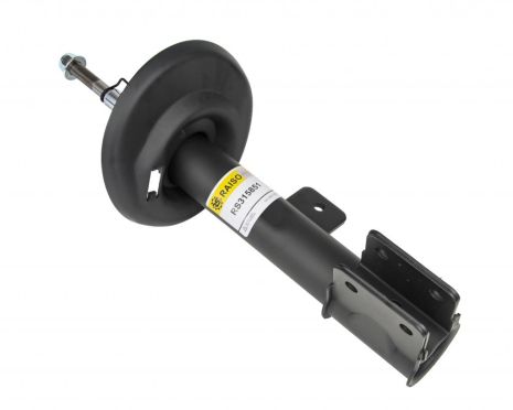 Амортизатор передний лев. Citroen C4 II, DS4, Peugeot 3008 09-, RAISO (RS315851)