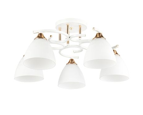 Декоративна люстра INTEREES IS 5009-5 WH+FG
