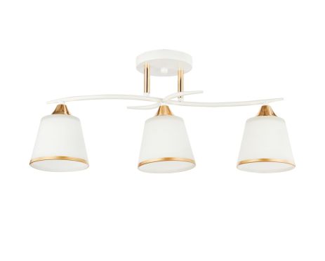 Освітлювальна люстра INTEREES IS 6100-3 WH+FG