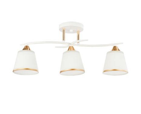 Освітлювальна люстра INTEREES IS 6100-3 WH+FG