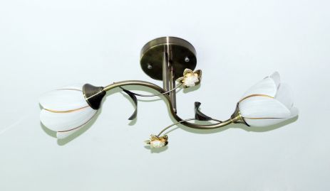 Потолочная люстра Sirius B N1508 / 2 с двумя плафонами