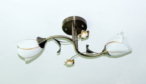 Стельова люстра Sirius B N1508/2 з двома плафонами Стельова люстра Sirius B N1508/2 з двома плафонами