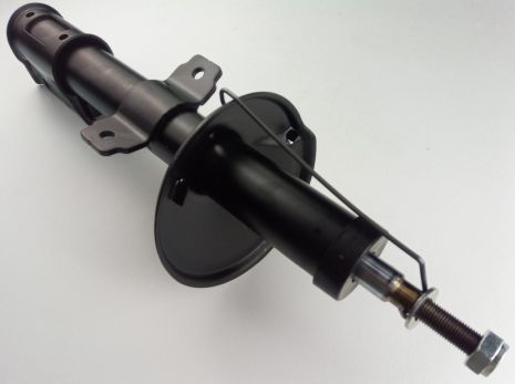 Амортизатор передний Duster 10- (газ.), RAISO (ST289316)