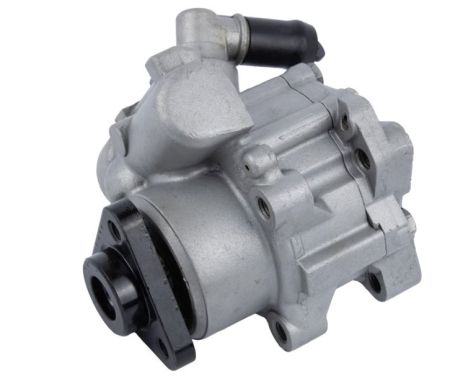 Насос ГПК BMW 5 (E39) 2.0i-3.0i 95-04, RAISO (RG0115)