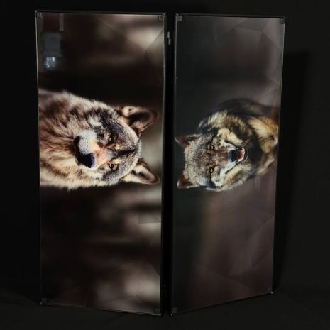 Нарды из стекла длинные и короткие нарды Волк 61×27×5 см