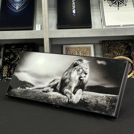 Нарди зі скла Лев 61×27×5см довгі нарди