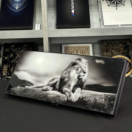 Нарды из стекла Лев 61×27×5см длинные нарды