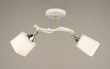 Потолочная люстра Sirius B N4483/2 на два плафона с вращательным механизмом