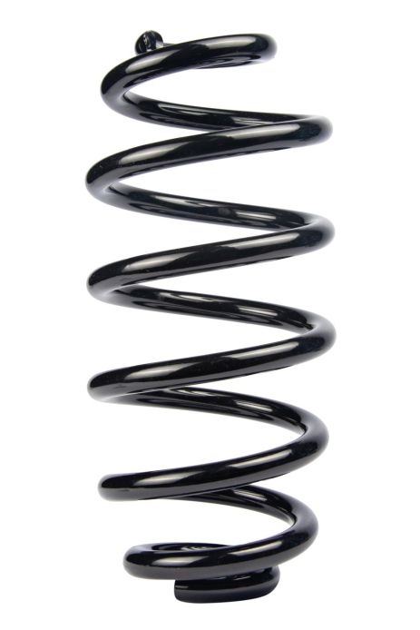 Пружина задня Audi A4 B6/B7 00-08 (296*14*133), RAISO (SR123TP)