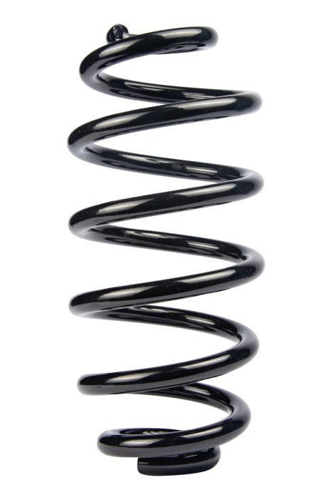 Пружина задняя Audi A4 B6/B7 00-08 (296*14*133), RAISO (SR123TP)