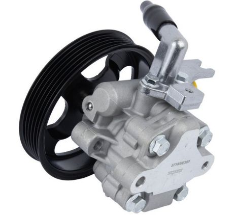 Насос гідропідсилювача керма для Hyundai Tucson/Kia Sportage 2.0 CRDI 04- від RAISO (RG0128)