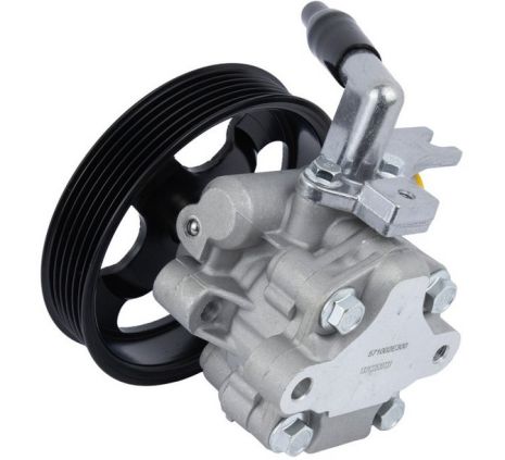 Насос гідропідсилювача керма для Hyundai Tucson/Kia Sportage 2.0 CRDI 04- від RAISO (RG0128)