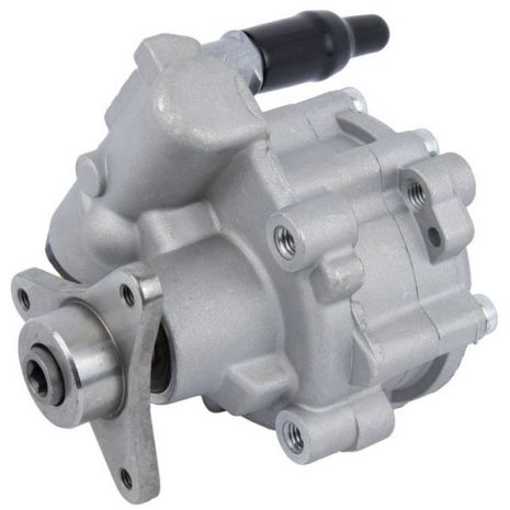 Насос ГПК Renault Trafic/Master 1.9/2.5dCi, RAISO (RG0113)