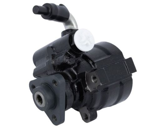 Насос ГУР Fiat Doblo 1.2-1.4 01-, RAISO (RG0209) Насос ГУР Fiat Doblo 1.2-1.4 01-, RAISO (RG0209)