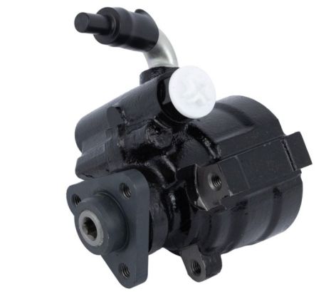 Насос ГУР Fiat Doblo 1.2-1.4 01-, RAISO (RG0209)