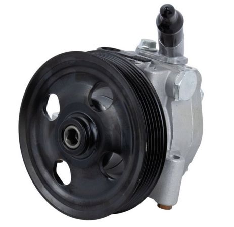 Насос ГПК Ford Galaxy/S-Max 1.8TDCi 06-15, RAISO (RG0217)