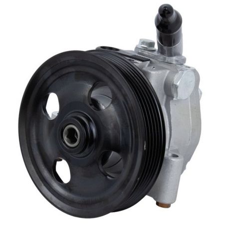 Насос ГПК Ford Galaxy/S-Max 1.8TDCi 06-15, RAISO (RG0217)